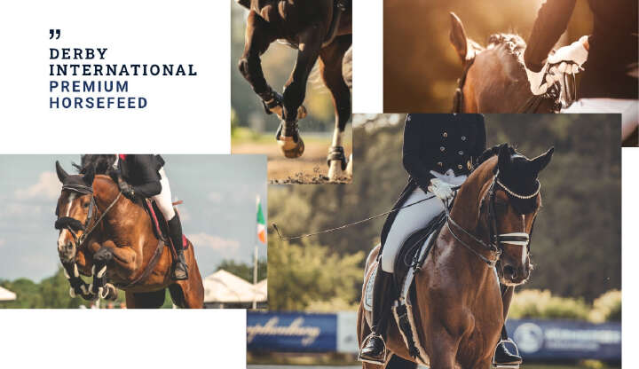 derby international premium horsefeed banner 25